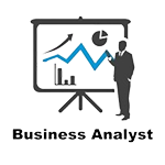 Business Analyst